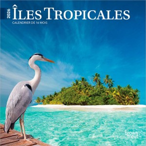 Îles Tropicales | 2026 7 x 14 Inch (Hanging) Monthly Mini Wall Calendar | French Language